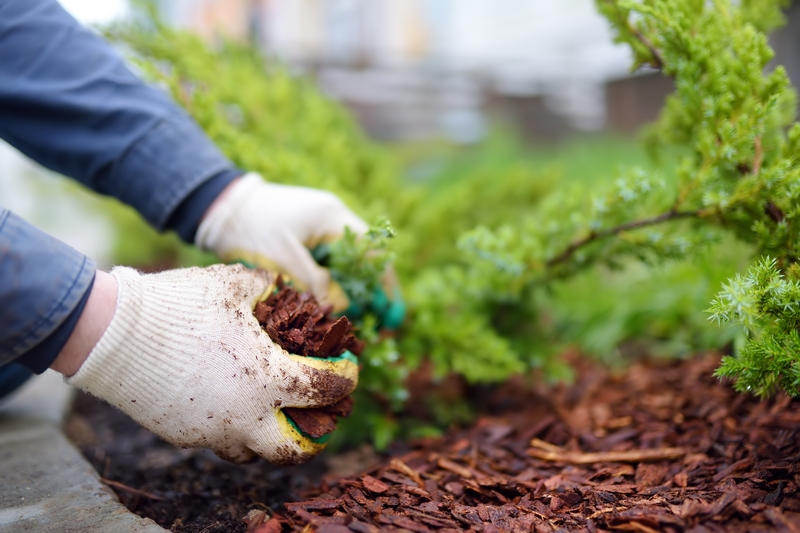 Kora drobna sprzedaż kory naturalna kora sosnowa lubelskie